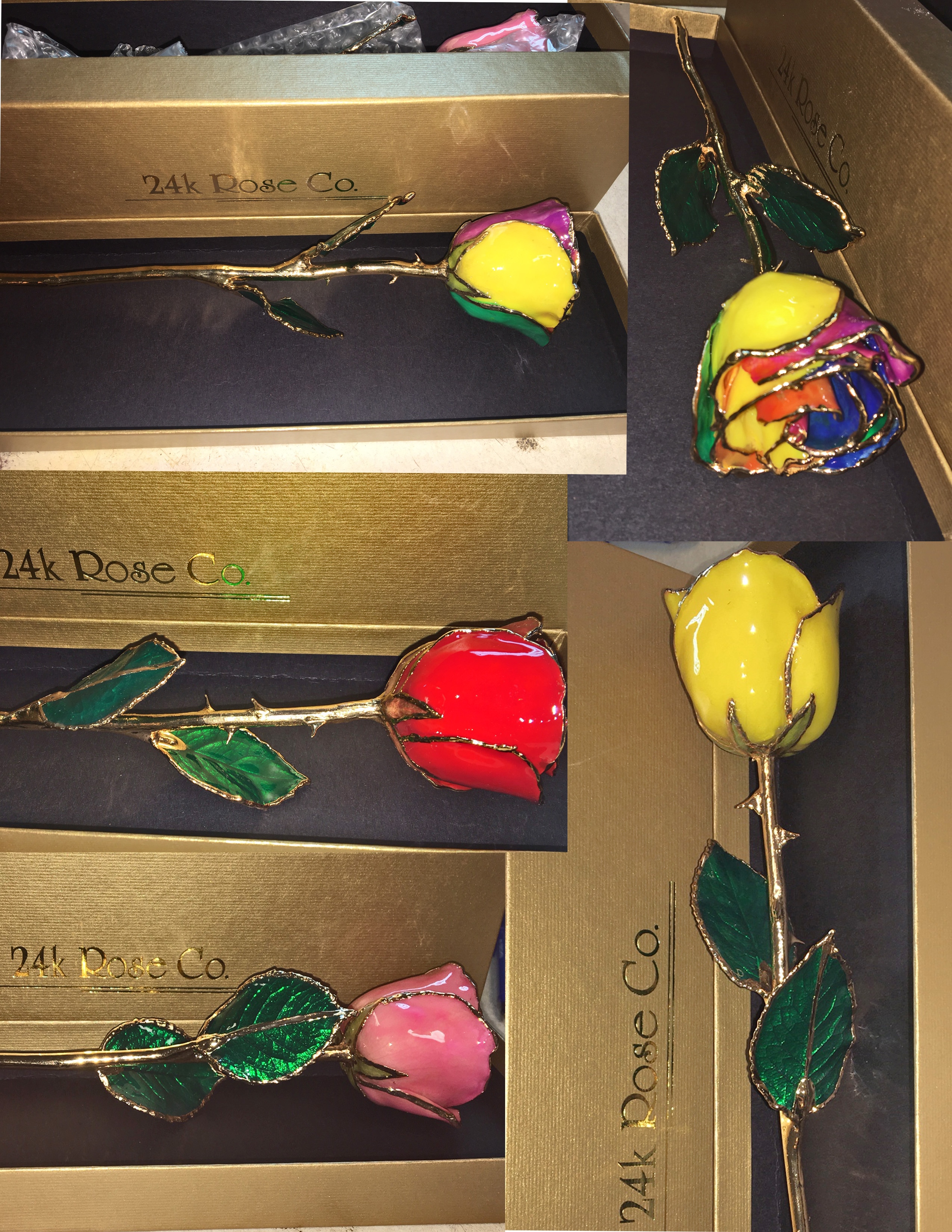 24k Gold tipped rose